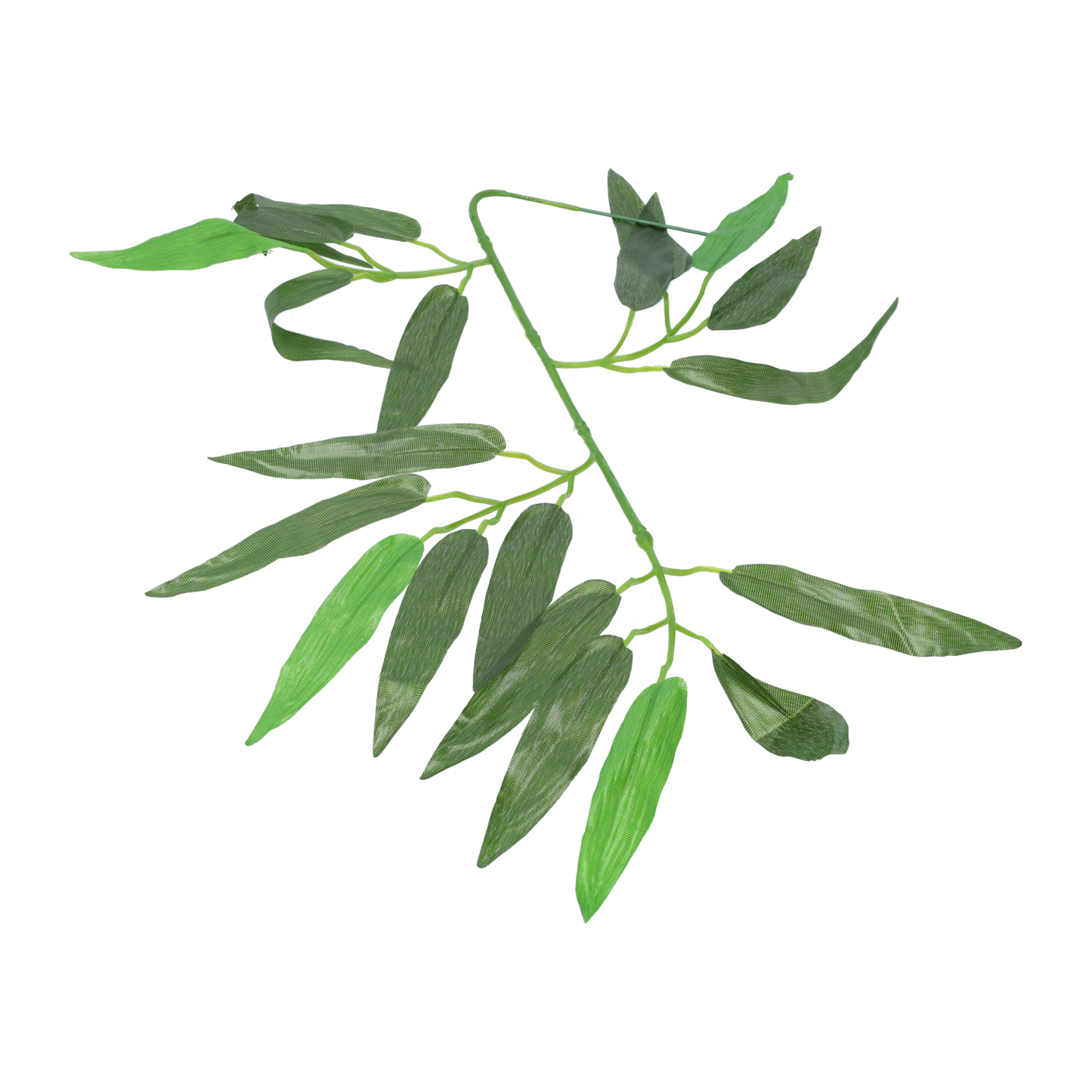 Rattenval van Hoge Kwaliteit - Dubbele Deur voor Grote Muizen of Ratten - Sterke Kooi voor Ongediertebestrijding